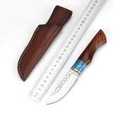 VG-10 Damascus steel outdoor knife cocobolo handle collection handmade knife camping camping self-defense knife